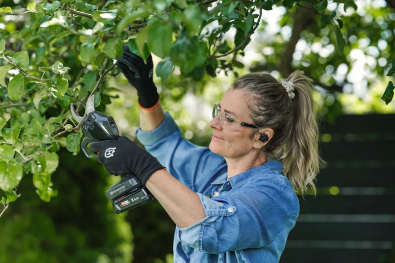 Secateur, Bypass Aspire Ps30x-